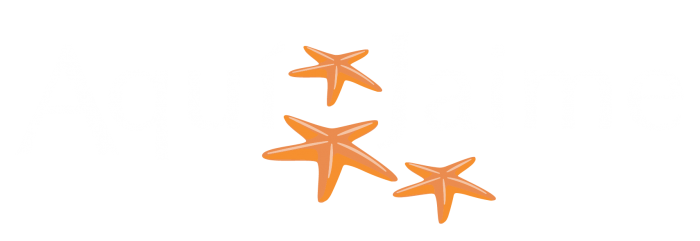 logo-02-01 logo-02-01